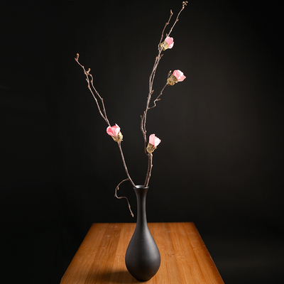 干枝梅真风干天然束客厅摆设高端旺财干酒柜装饰腊梅