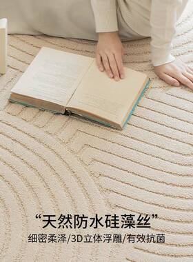 厅地毯新卧室2025款大客面满2023.11.铺地垫可擦免洗硅藻丝沙发积