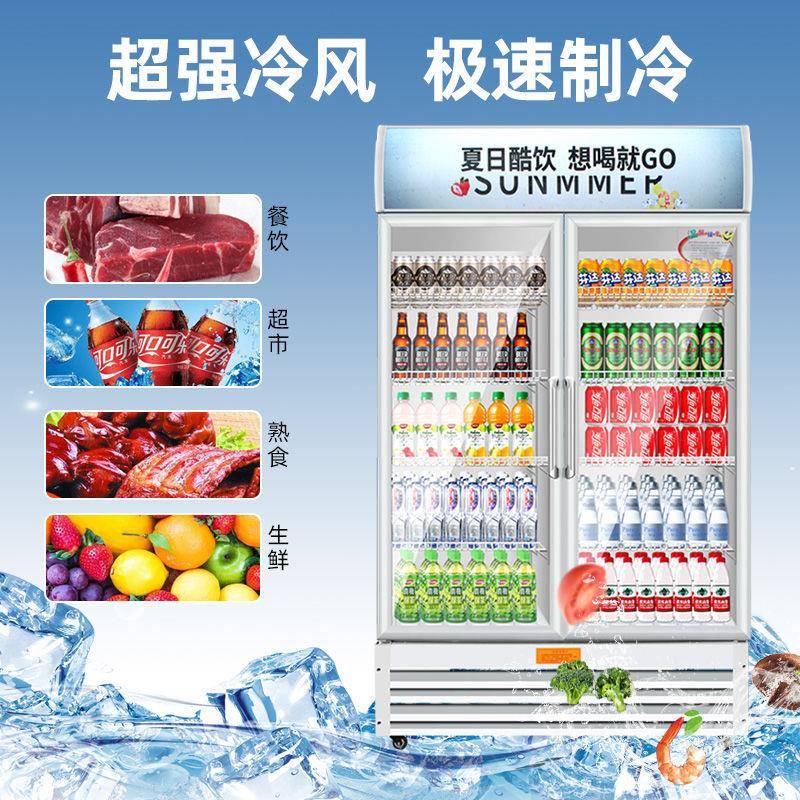 冷藏205展示立式商用单柜开门冰容柜大量啤酒料超市饮保鲜展示柜