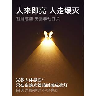 人户体感灯夜间自动人来即亮入角门家用智能走应廊过道楼XTT道墙