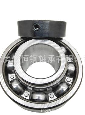 非标外球面轴承NA310-30P0任务RIK轴承偏A心轴承47.625*1510*66.0