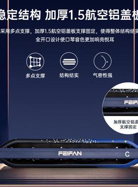 FENI航FA飞繁12孔布鲁斯口琴F12全音阶演奏初学者铝入门TQC空盖板