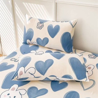 枕头套和枕芯一套一对装单个枕头带枕套套装学生宿舍初高中生住校