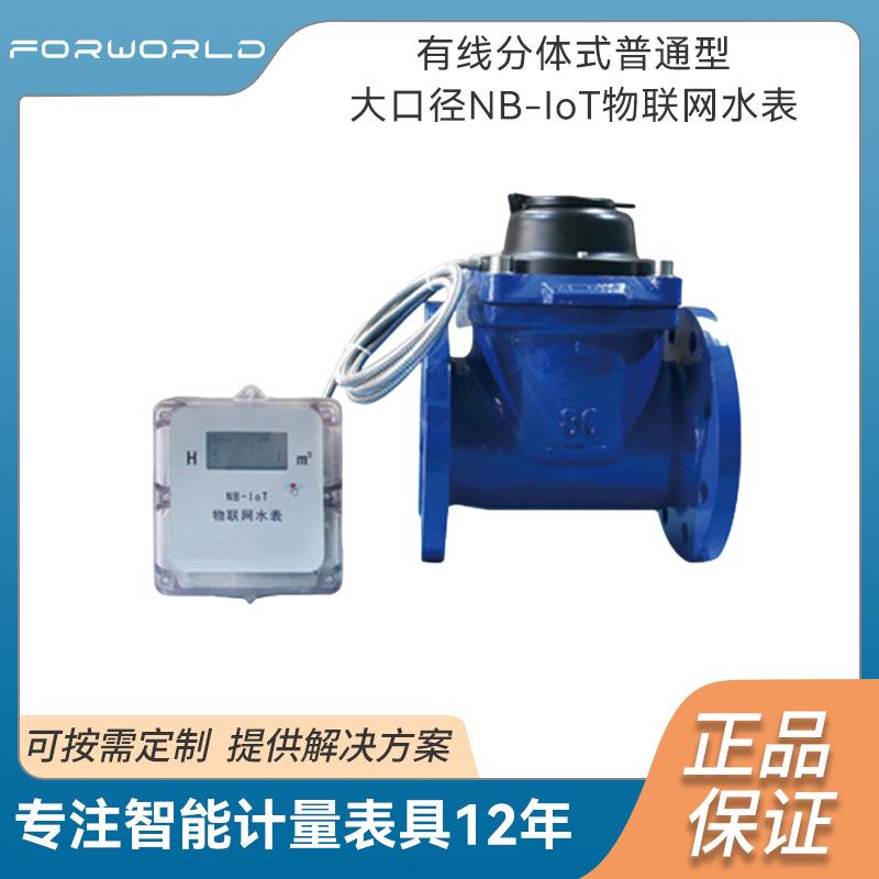 有线分体式普通型大口径NB-IoT物联网水表水平螺翼式水表精准