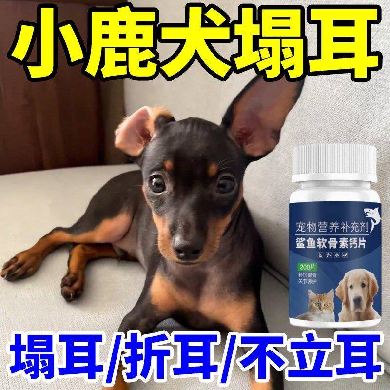 柯基钙片健骨补钙立耳专用小型幼犬老年犬通用宠物狗吃的微量元素