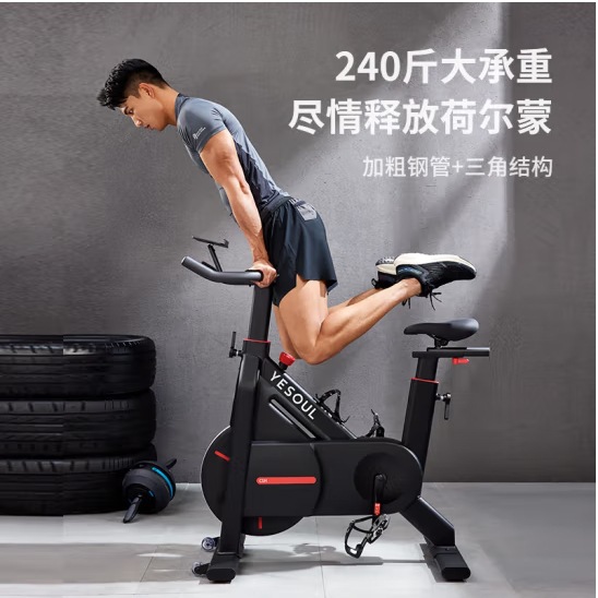 野小兽动感单车磁控家用运动训练健身器材室内脚踏车 C1 魅力黑