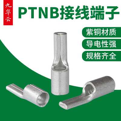 片型裸端头PTNB10-12插针鼻子铜线耳德标PTNB16-13冷压铜接线端子
