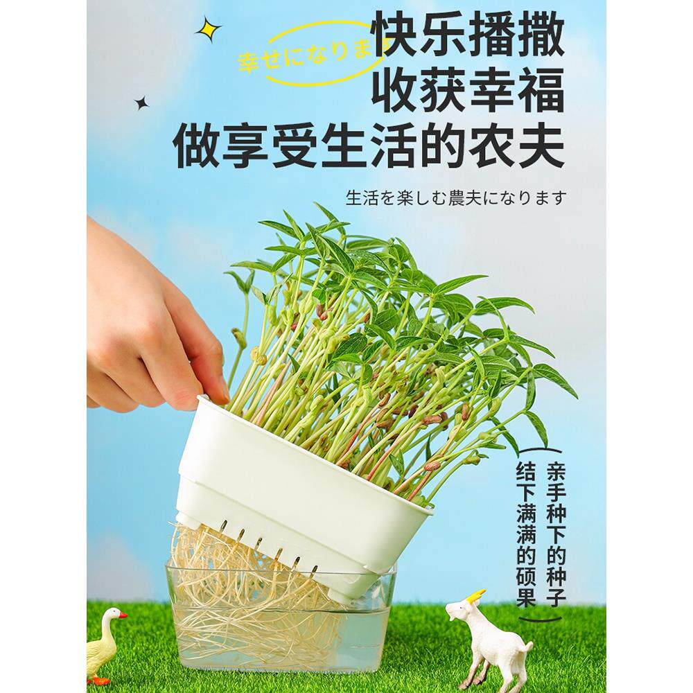 豆芽发芽盆水培蔬菜豌豆苗种植架无土栽培托猫草芽苗菜育苗盘托盘