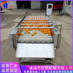 6916514不锈钢蚝毛清机 平行辊毛辊 海蛎子全洗自动洗生泥清洗机