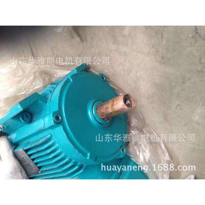 YBKE3电机|YZP-200L2-2-37电机替代上海电机YZP二级能效防爆电机