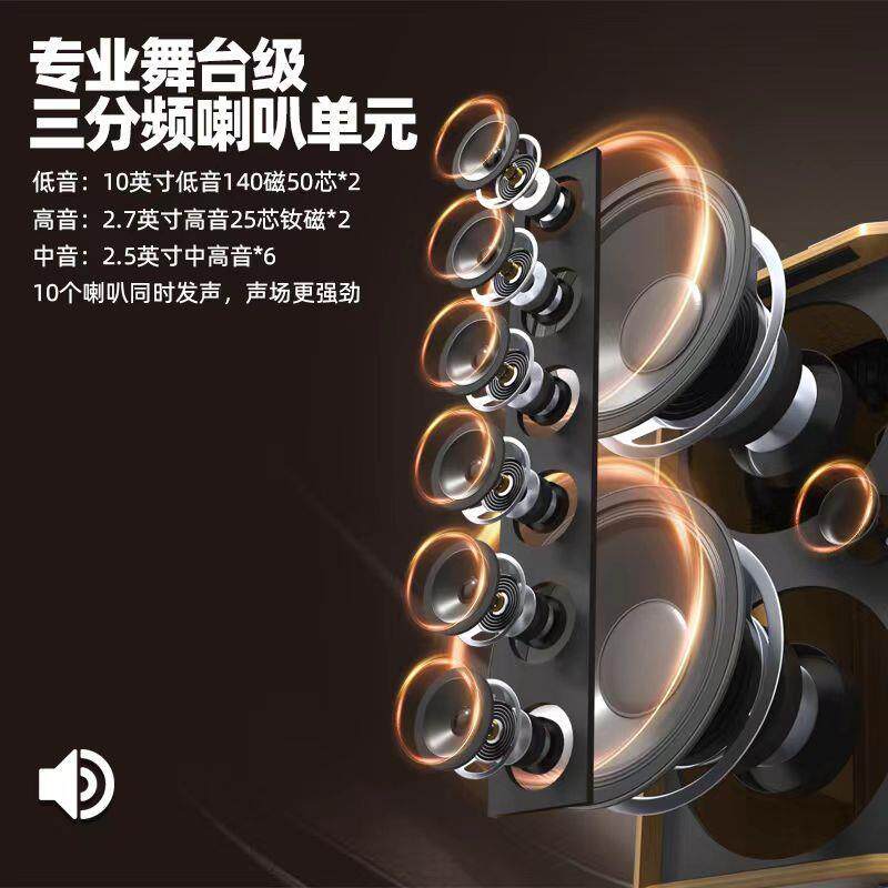 曼龙2024新款音响功放一体机户外k歌带直播卡拉0k广场舞拉杆音箱