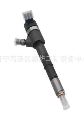 专业销售发动机配件RE527598喷油器油泵 RE48786