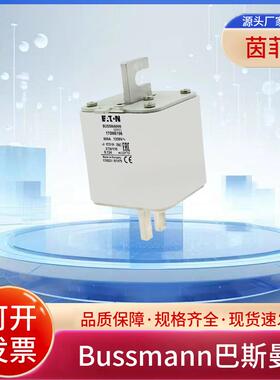 巴斯曼熔断器170M6194 170M6195 170M6196 170M6197 M6198 6199