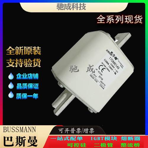 巴斯曼170M6149 170M6150 170M6151 大量现货批零兼营 快熔保险丝