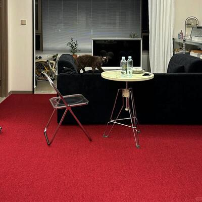 鲁士红色地毯商用客厅卧室结婚布置服装拍照背景毯大面积地垫满铺