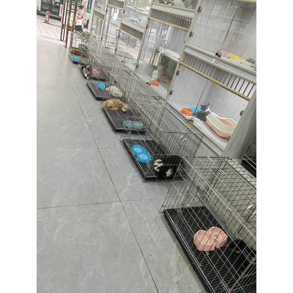 嘉盈内销款不锈钢笼狗笼猫笼折叠笼鸽子兔子鸡舍笼中小型宠物用品,宠物/宠物食品及用品,狗笼子,淘宝优惠券,粉丝福利购,淘宝优惠卷