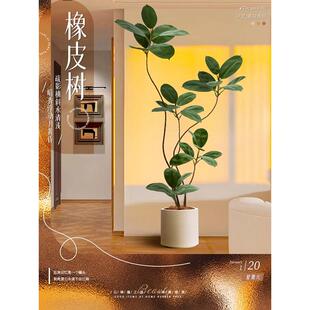 大型客厅落地摆件室内沙发电视柜旁边假植物黑金刚橡皮树仿真绿植