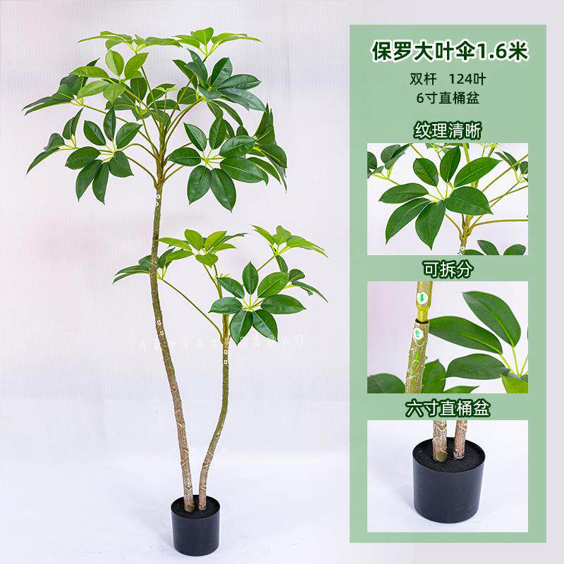 款保罗大叶仿新植物保罗叶伞大真大型落地盆栽客厅室内装饰仿真绿