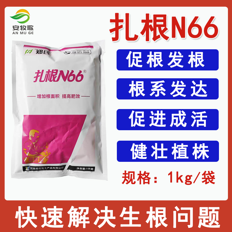 郑式化工98%扎根N66原粉生根状根