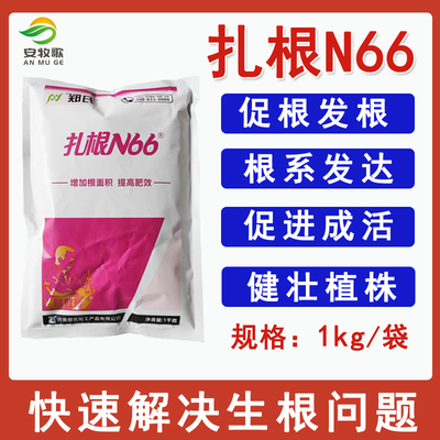 郑式化工98%扎根N66原粉生根状根