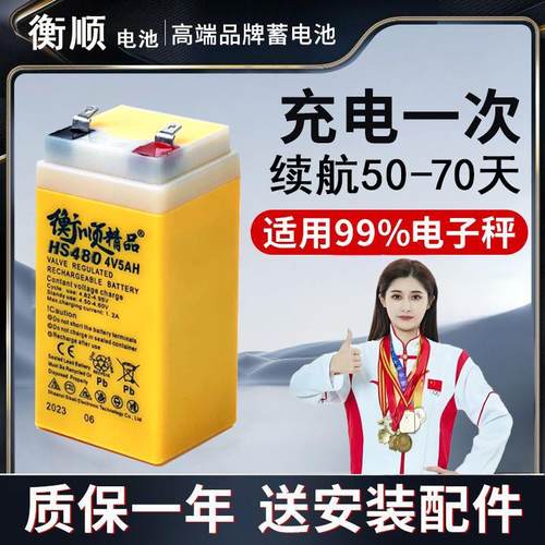 原装4V4AH/20电子秤地磅蓄电池电子秤吊秤落地电池台秤落地称电瓶