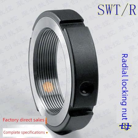 Swt/R型120/125/130/135/140/220X2P思考特殊直径锁紧螺杆防松螺