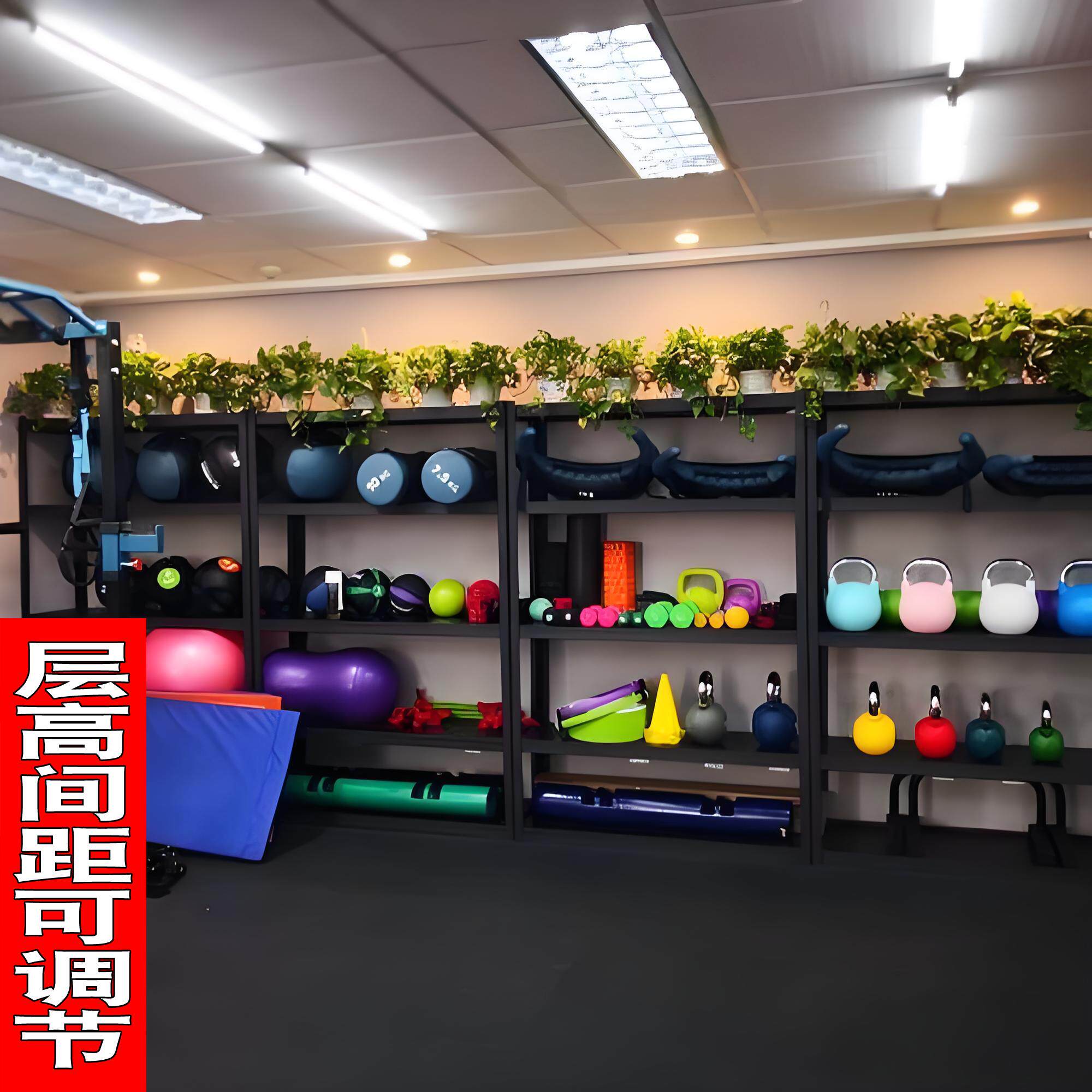 健身房器材收纳架子家用私教小工具储物柜哑玲瑜伽运动器械置物架