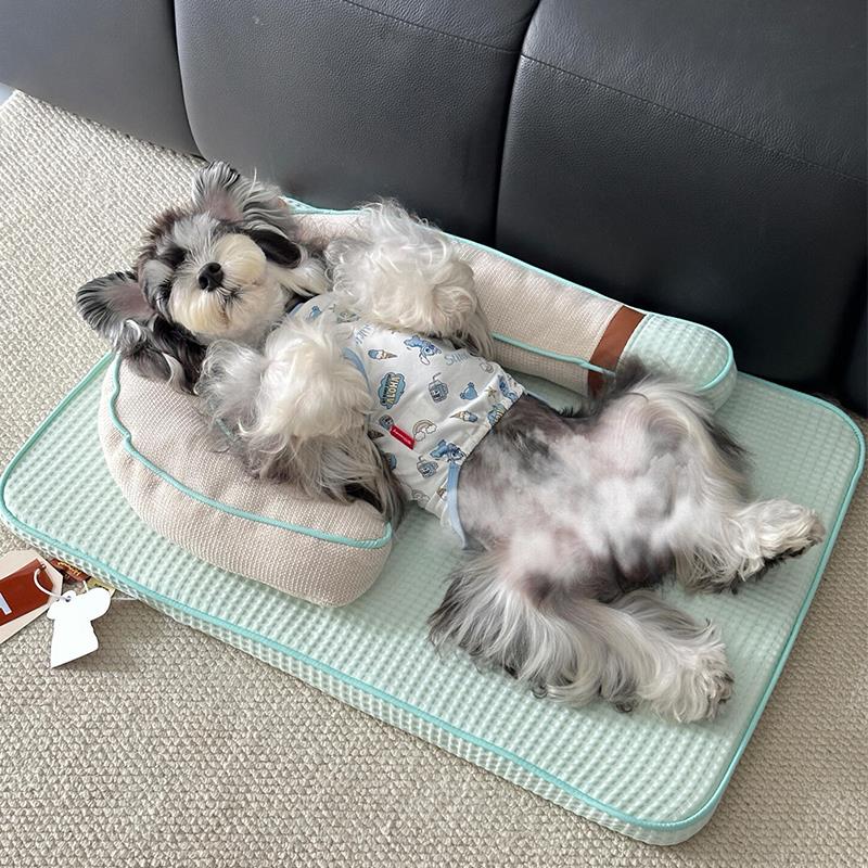 采购产品狗窝所有季节，夏季宠物冰垫，猫窝，狗垫，可拆卸和可洗