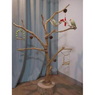 鸟站架树枝树杆鹦鹉站架树干原木站杆树杈秋千鸟笼实木灯架枯枝