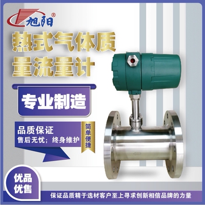 旭阳热式气体质量流量计空气精密微量厂家发货传感器