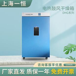 烘箱 上海一恒 电热恒温鼓风干燥箱 9920A 老化箱 DHG