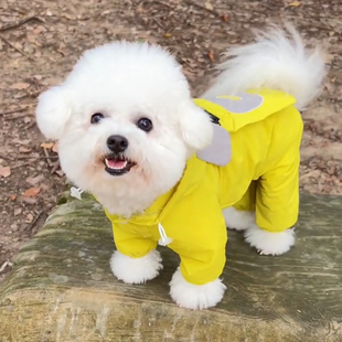 布莱熊狗狗衣服春秋薄款小型犬雪纳瑞泰迪比熊外出防脏四脚冲锋衣