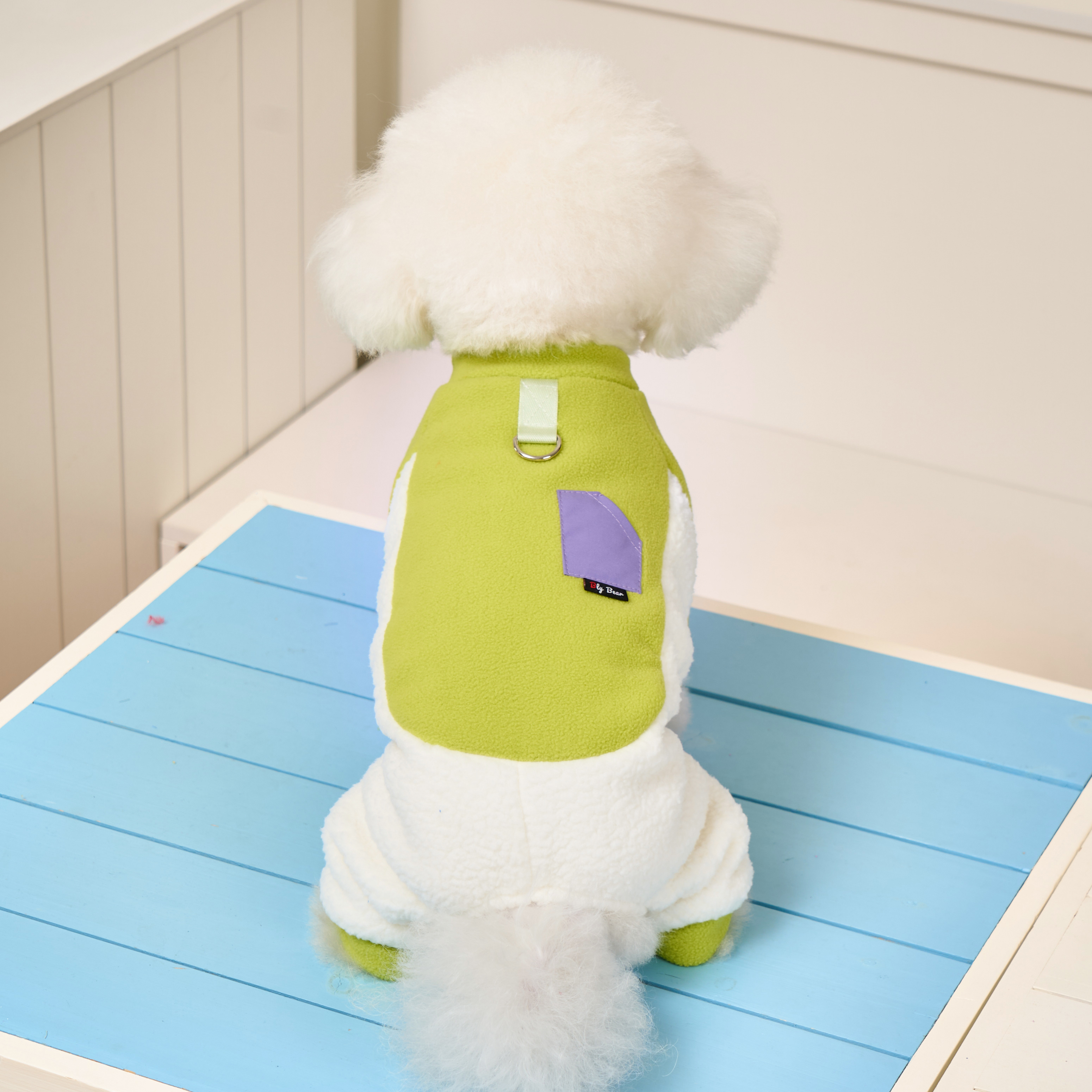 布莱熊2025新款狗狗衣服秋冬季小型犬比熊雪纳瑞泰迪可牵引四脚衣