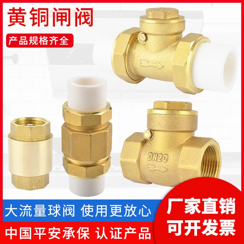 卧式ppr止回阀热熔双活接铜单向阀立式4分6分1寸20 25 32水管配件