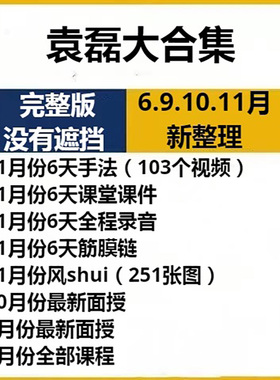 袁磊新课全科班合集筋膜链独门手法高清完整视频课件资料U盘