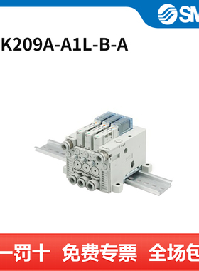 SMC 真空发生器 ZZK209A-A1L-B-A 个