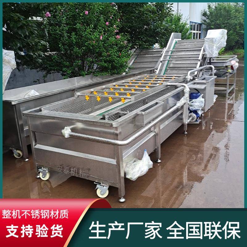 银杏果高压喷淋清洗机荔枝连续式清洗设备山楂全自动气泡清洗机