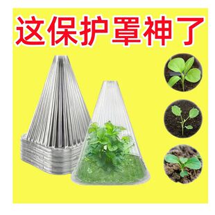 重复使用加厚方形植物钟罩免受鸟类霜冻伤害绿色育苗保护钟罩