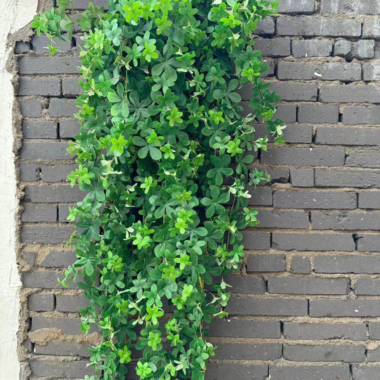 模拟财叶藤墙挂挂花塑料藤植物绿色植物挂篮绿叶墙装饰藤