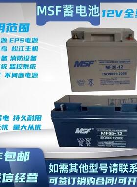 MSF蓄电池MF-12V17A24A38A40A65A100A机房直流屏备用铅酸免维护