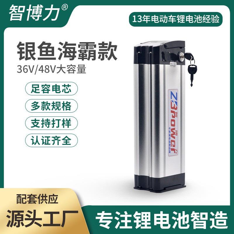 厂家直供48V20Ah电动车海霸银鱼锂电池外卖代驾折叠自行车电池组