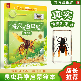 社出版 奇奇乐读标本书第三辑正版 9岁儿童节日生日礼物图书昆虫绘本科普书籍胡蜂标本小孩启蒙亲近自然科普广西美术出版