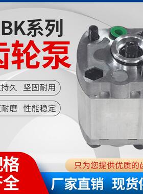 CBK齿轮泵微型高压油泵CBK-F1.1/1.6/2.1/3.2/4.2*4.8升降机油泵