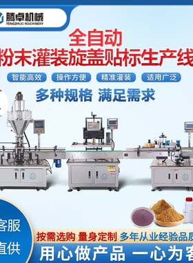 全自动粉剂灌装生产线调味粉味精鸡精流水线粉末灌装机包装机设备