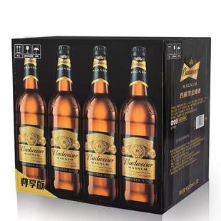 百威黑金啤酒600ml*12瓶装整箱尊享版大师高酒精麦汁浓度大瓶精酿