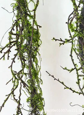 仿真青苔枯藤藤条 装饰工程造景假树枝雨林O森系搭配藤蔓摆放树藤