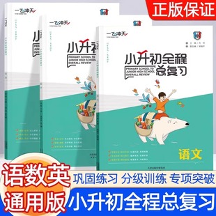 新版一飞冲天小升初全程总复习语文数学英语人教版精通版部编天津中考毕业升学系统总复习资料专项训练辅导书知识大集结教辅书