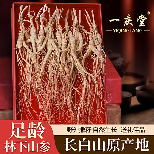 长白山东北林下参乾货泡酒人参野生状态下自然生长林下山参店