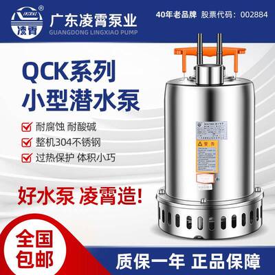 QCK潜水泵污水泵304不锈钢220V地下室排污泵抽水泵管道泵变频