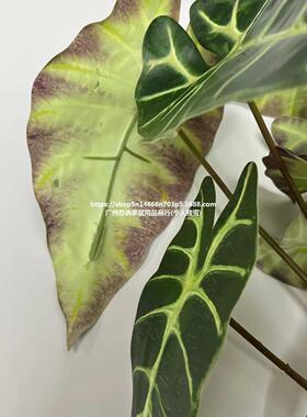 仿真植物10头黑芋头叶不带盆单棵绿植景观工程布置假叶子海芋款式